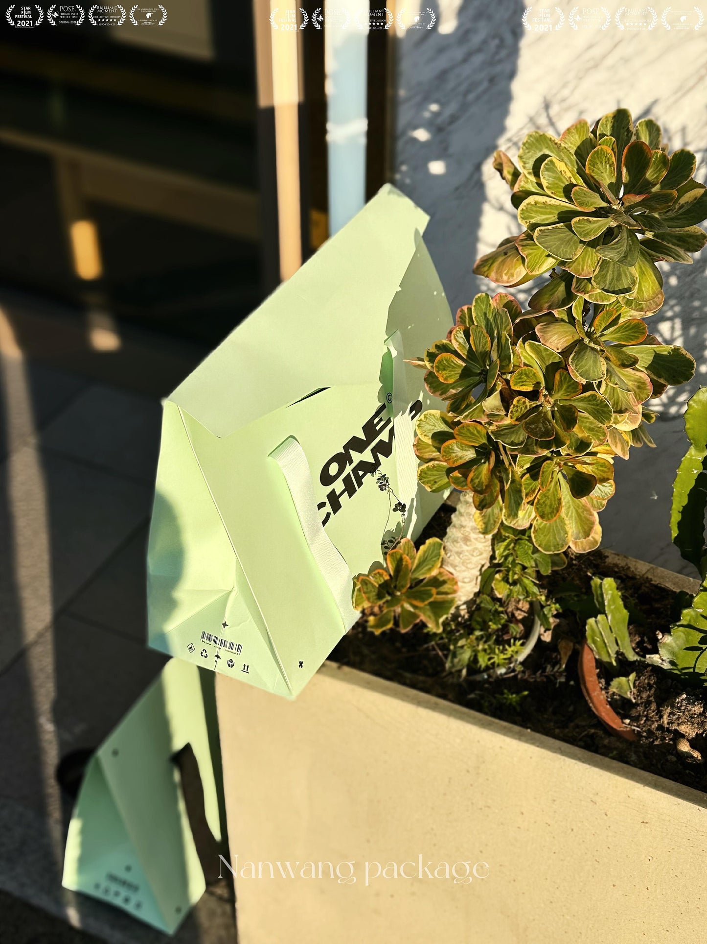 Mint green exquisite limited atmosphere tote bag